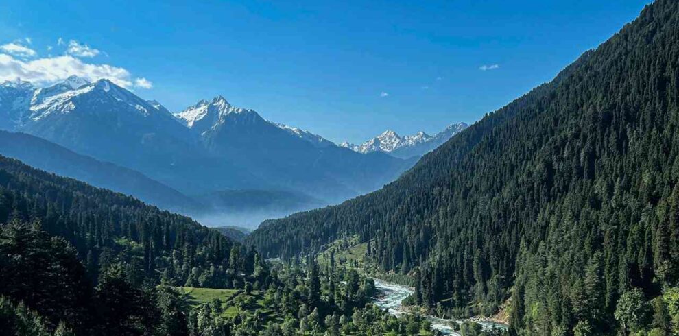 pahalgam tour packages